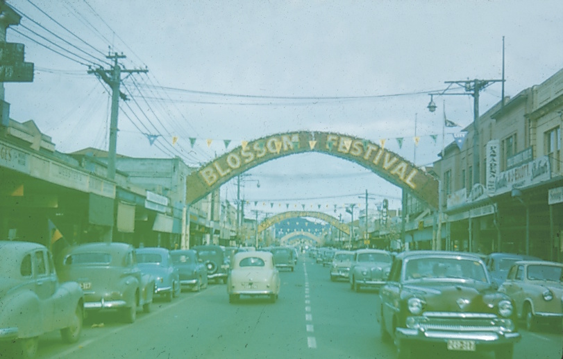 Blossom Festival arch — looking east — 1950s