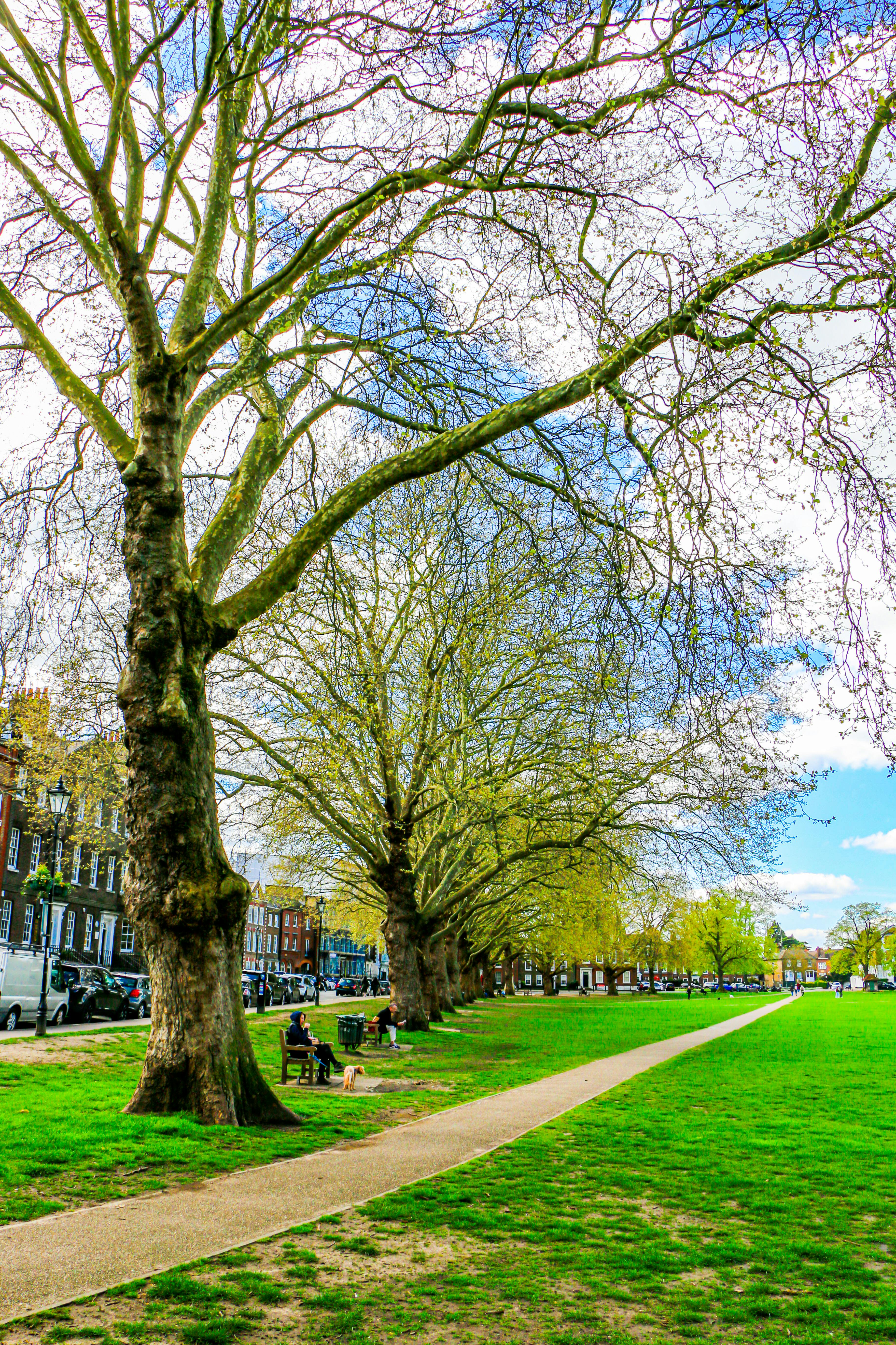 Clapham Common path South London